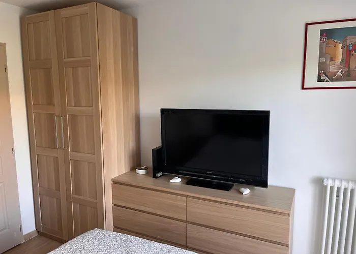 Superbe 2 Pieces Moderne Refait A Neuf, Piscine ! Antibes