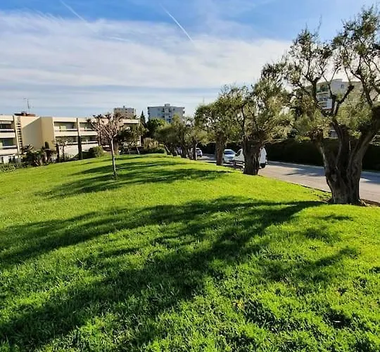 Superbe 2 Pieces Moderne Refait A Neuf, Piscine ! Apartment